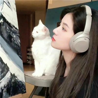 忍冬玫瑰