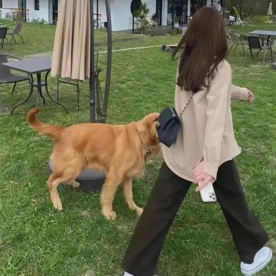 巴尼冒险记
